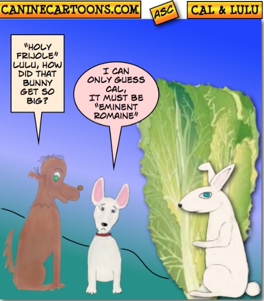 Eminiet Romaine Cartoon 010816