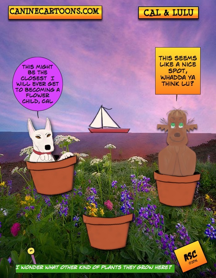 FLOWER POT CHILDREN V3  FOR WEBSITE 073116